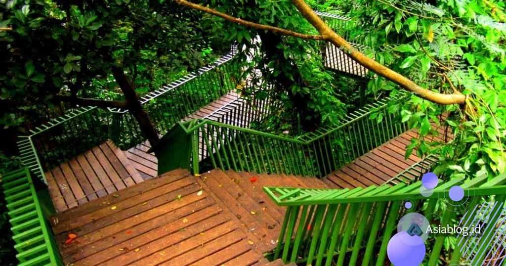 www.asiablog.id - image : Hutan Kota Babakan Siliwangi (Baksil)